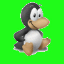 pinguino-093.jpg