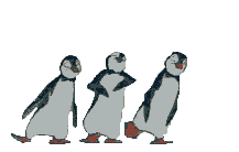 pinguino-097.gif