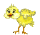 pollito-021.gif
