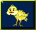 pollito-026.gif