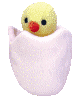 pollito-033.gif