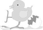 pollito-034.jpg