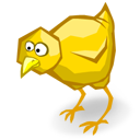 pollito-038.png