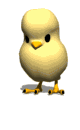 pollito-039.gif