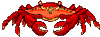 cangrejo-008.gif