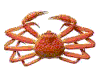 cangrejo-017.gif