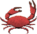 cangrejo-019.gif