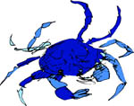 cangrejo-021.jpg