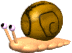 caracol-009.gif