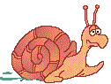 caracol-012.gif