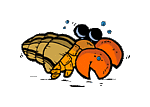 caracol-014.gif