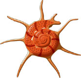 caracol-020.jpg