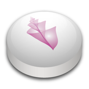 caracol-021.png
