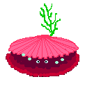 ostra-009.gif