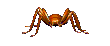 aranya-029.gif