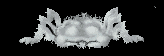 aranya-031.gif