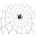 aranya-038.gif