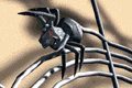 aranya-040.gif