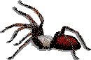 aranya-045.gif