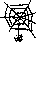 aranya-048.gif