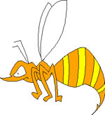 avispa-abejorro-014.jpg