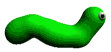 gusano-023.gif