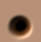 gusano-031.gif