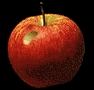 gusano-038.gif