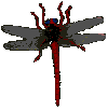 libelula-004.gif