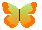 mariposa-019.gif