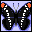 mariposa-025.gif