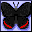 mariposa-028.gif