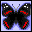 mariposa-029.gif