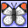 mariposa-036.gif