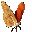 mariposa-047.jpg