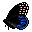 mariposa-048.jpg