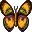 mariposa-053.jpg
