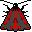 mariposa-054.jpg