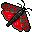 mariposa-057.jpg