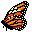 mariposa-059.jpg