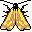 mariposa-061.jpg