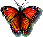 mariposa-067.gif
