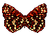 mariposa-070.gif