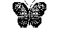 mariposa-073.gif