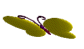 mariposa-074.gif