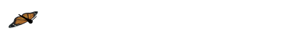 mariposa-078.gif