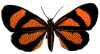 mariposa-080.gif
