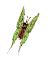 mariposa-082.gif