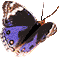 mariposa-083.gif