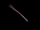 mariposa-084.gif